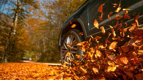 2023 Seasonal Tire Tips - Fall & Winter